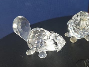 Swarovski - Figurine - Twee bever jongen - Cristal