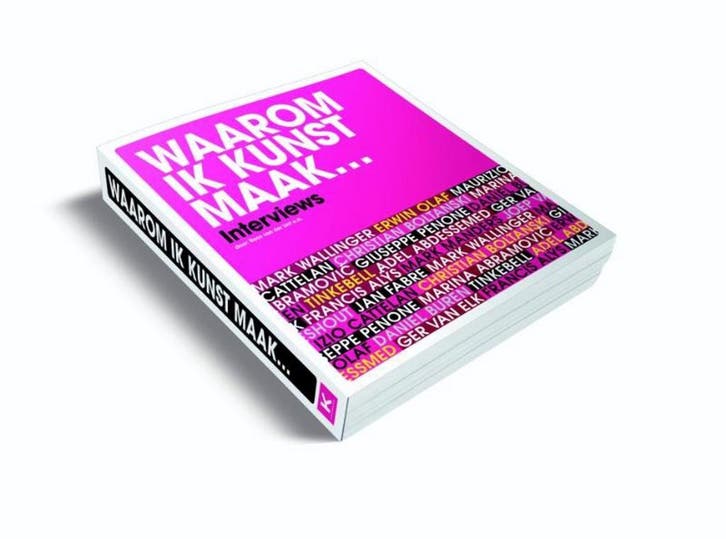 Waarom ik kunst maak ... 9789085714262 Roos van der Lint, Boeken, Kunst en Cultuur | Beeldend, Zo goed als nieuw, Verzenden