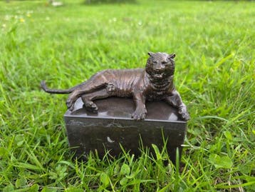 Beeld, Bronze Tiger Sculpture - Handcrafted Wildlife Artwork