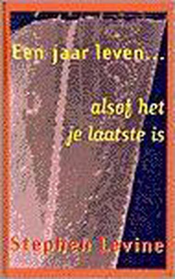 Een jaar leven alsof het je laatste is 9789063255480, Verzenden, S. Levine