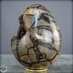 Natuurlijke septariën-drusen in ei-vorm – Krachtige
