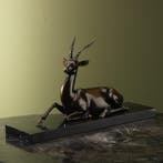 Antilope Brons Beeld Taxidermie Opgezette Dieren By Max, Collections, Collections Animaux, Ophalen of Verzenden, Opgezet dier