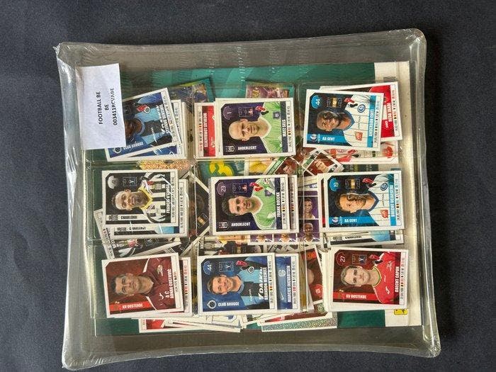 Panini Official sticker collection Football Pro League 2018, Verzamelen, Stickers
