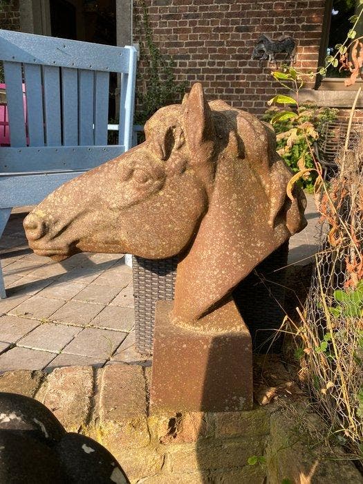 Beeld, Tête de cheval - 80 cm - Steen, Antiquités & Art, Curiosités & Brocante