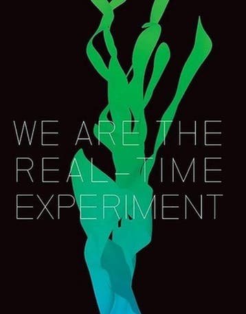 We Are the Real Time Experiment 9781846312298 Lewis Biggs, Verzenden, Zo goed als nieuw, Lewis Biggs