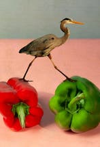 Tere Ormazabal - Bodegón 15