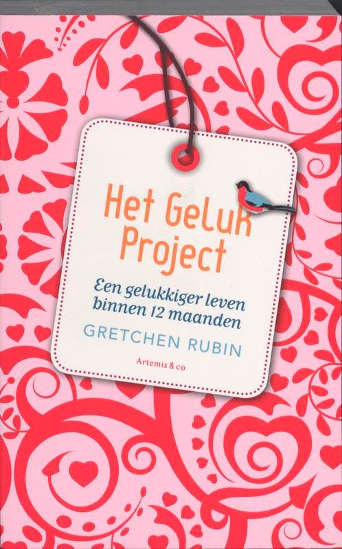 Het geluk project 9789047201274 Gretchen Rubin, Boeken, Literatuur, Gelezen, Verzenden