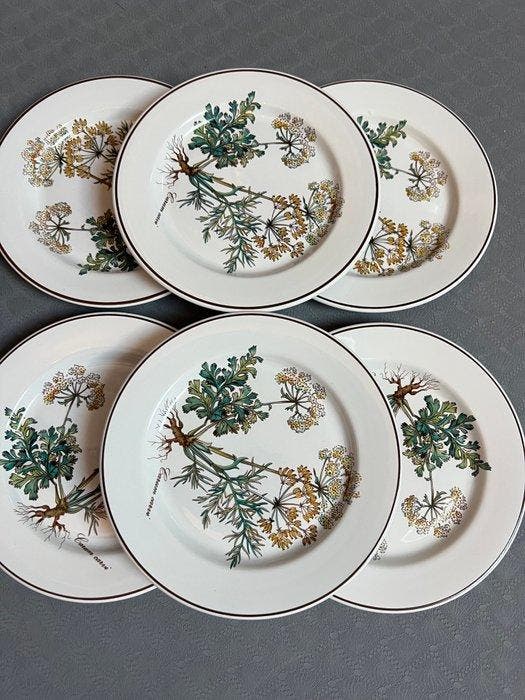 Villeroy & Boch - Schotel (6) - botanica - Porselein, Antiquités & Art, Antiquités | Meubles | Tables