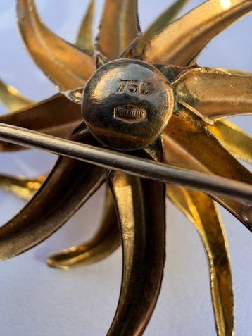 Broche - 18 karaat Geel goud Robijn