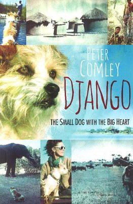 Django 9781868425983 Peter Comley, Boeken, Taal | Engels, Gelezen, Verzenden