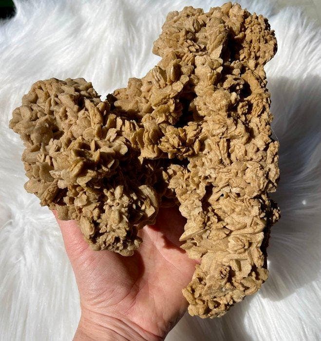 woestijnroos Ruw - Hoogte: 18 cm - Breedte: 22 cm- 1212 g -, Verzamelen, Mineralen en Fossielen
