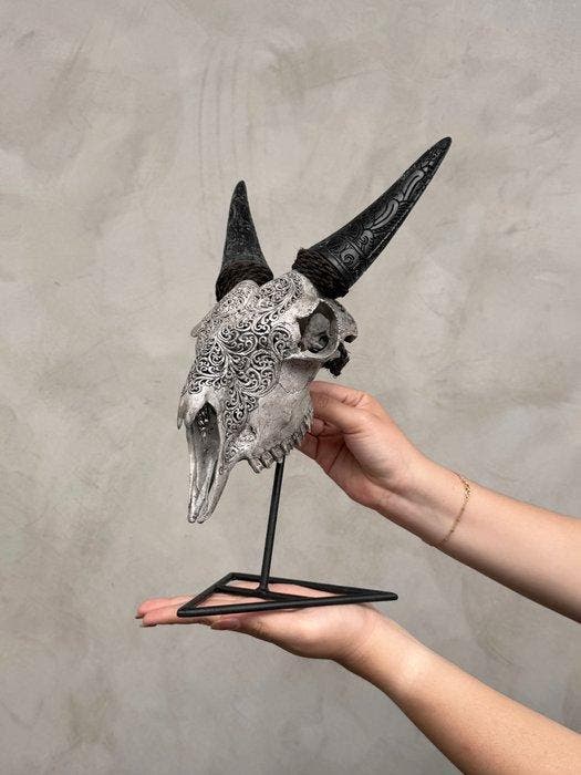 SANS RÉSERVE - Crâne de chèvre gris taillé à la main avec, Antiquités & Art, Curiosités & Brocante