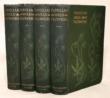 F. Edward Hulme - Familiar Wild Flowers (Complete 8 Series