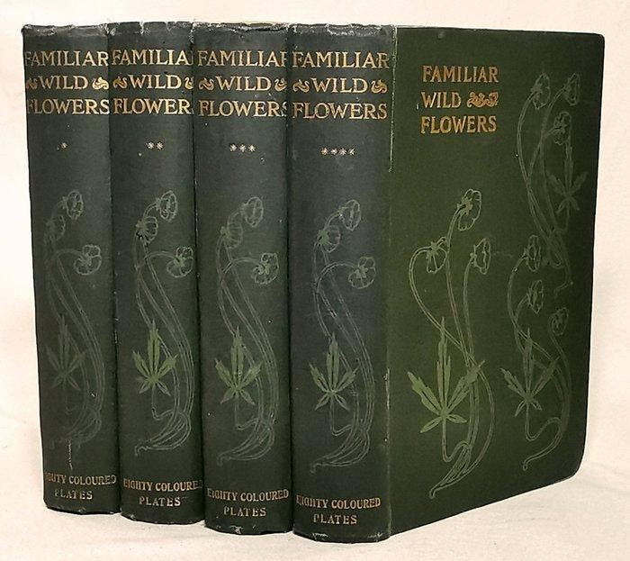 F. Edward Hulme - Familiar Wild Flowers (Complete 8 Series, Antiek en Kunst, Antiek | Boeken en Manuscripten