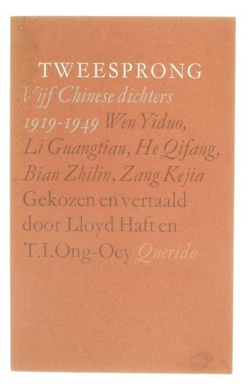 Tweesprong - Haasse, Verzenden, Nieuw