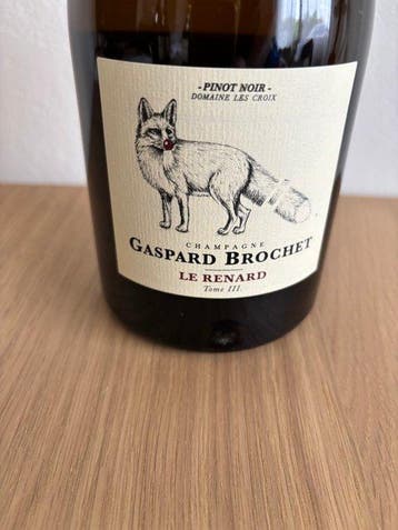 2023 Gaspard Brochet, Gaspard Brochet - Le Renard Tome III -, Nieuw