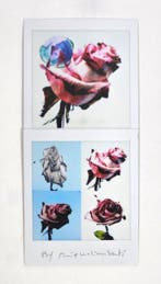 Maurizio Galimberti (1956–) - BiFlowers - 11452