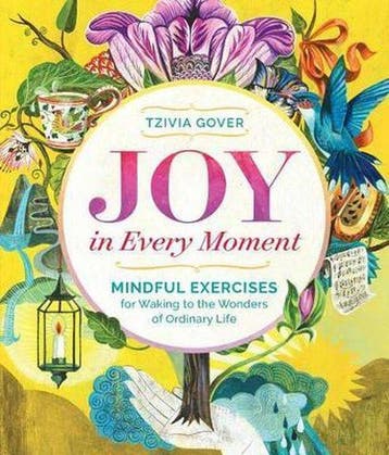 Joy in Every Moment 9781612125114 Tzivia Gover, Verzenden, Zo goed als nieuw, Tzivia Gover