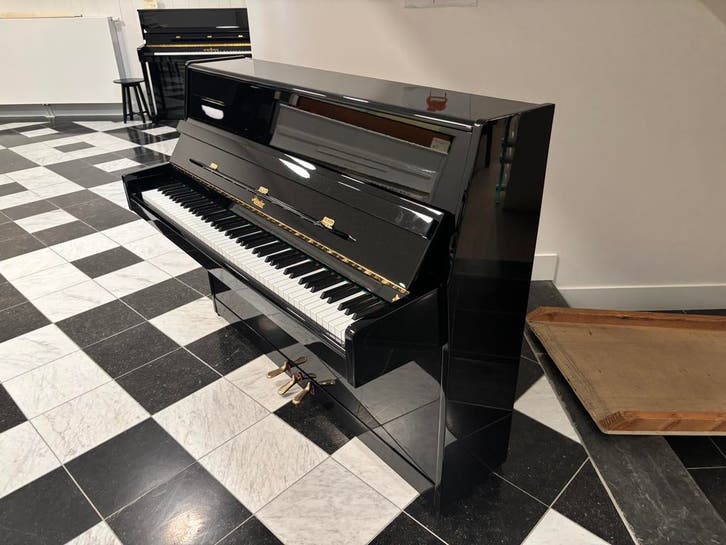 Rösler Allegro 108 (2001), Muziek en Instrumenten, Overige Muziek en Instrumenten, Zo goed als nieuw, Verzenden
