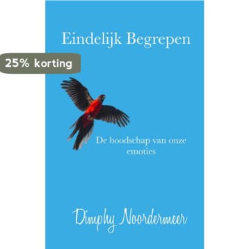 Eindelijk begrepen 9789464027563 Dimphy Noordermeer, Verzenden, Zo goed als nieuw, Dimphy Noordermeer