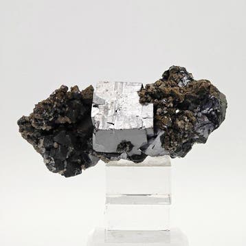Glanzende galena, dubbele kristallisatie, pyriet en, Verzamelen