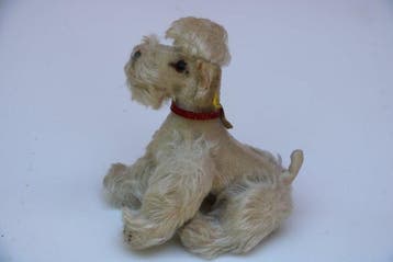 Steiff: Snobby de poedel, 1953. - Ours en peluche -