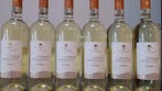 2024 Tondini Karagnanj, Vermentino di Gallura - Sardinië, Nieuw