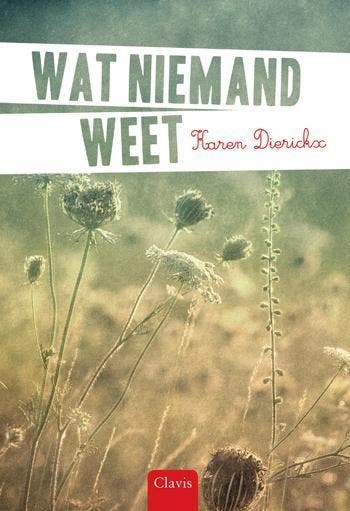 Wat niemand weet 9789044820638 Karen Dierickx, Boeken, Verzenden, Zo goed als nieuw, Karen Dierickx