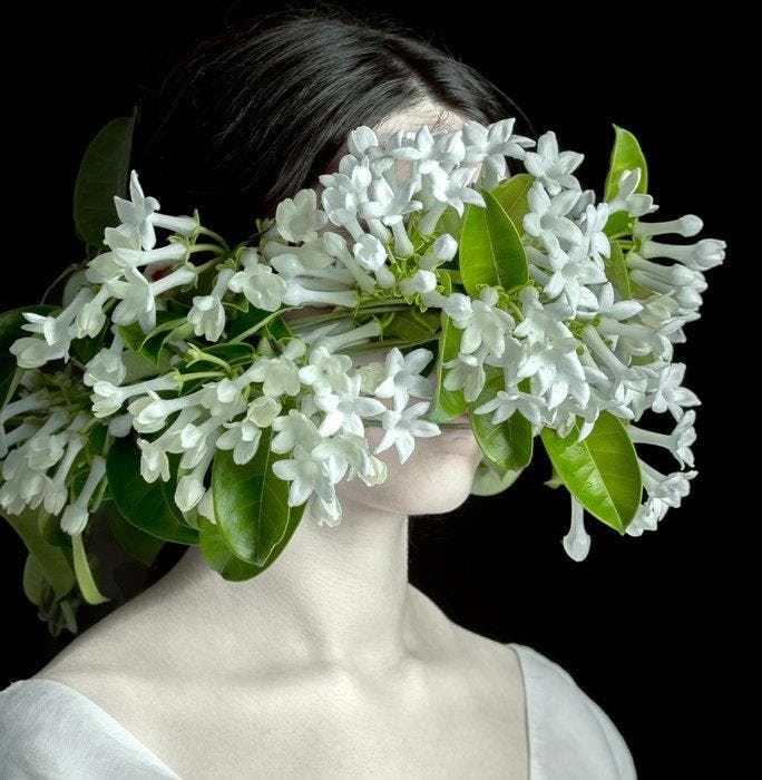 Elena Paraskeva - Botanica Somnia #1 (Baryta Silk) - XL, Antiquités & Art, Art | Objets design