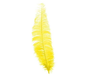 Gele Struisvogelveren 40cm 12st, Verzenden, Nieuw