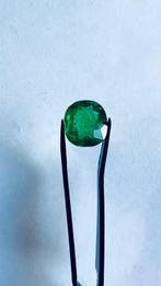 1 pcs Groen, Blauw Smaragd - 4.28 ct - Antwerp Laboratory