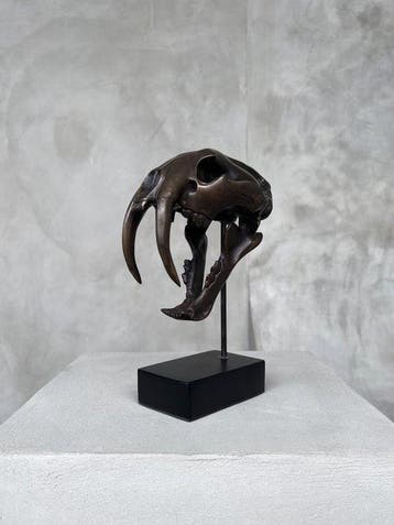 Sculpture, NO RESERVE PRICE - Smilodon - 20 cm - Bronze