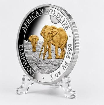 Somalië. 100 Shilling 2026 – African Wildlife Series –