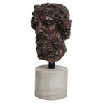 Buste, Testa di Bacco in marmo rosso antico - 68 cm - Marmer