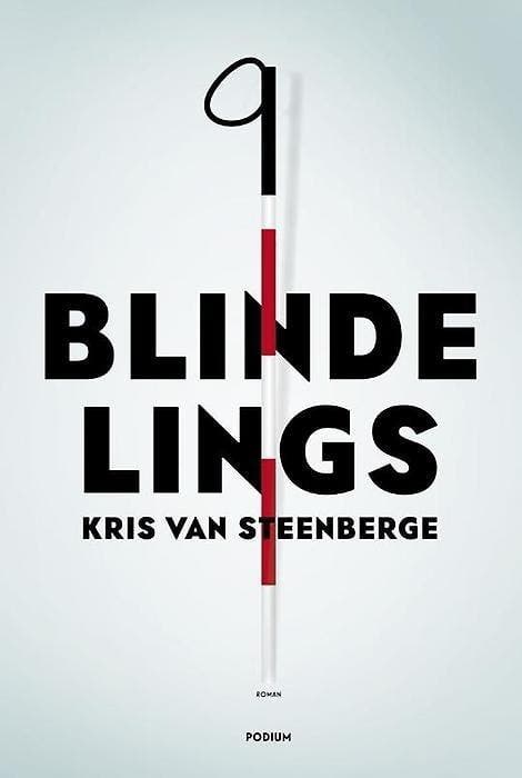 Blindelings (9789057597817, Kris Van Steenberge), Boeken, Romans, Nieuw, Verzenden