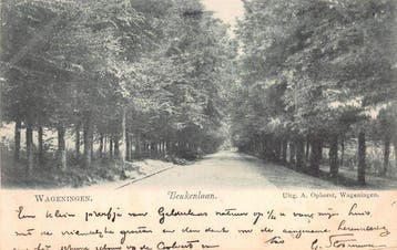 Nederland - Gelderland- stad, dorp en landschap -, Gelopen