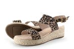 Dolcis Sandalen in maat 39 Overig, Kleding | Dames, Dolcis, Overige kleuren, Verzenden, Sandalen of Muiltjes