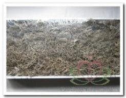 Tillandsia Junglemos Spaansmos Forestmos Wit 200–350 gram