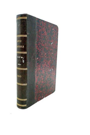 E.-A. Carrière & Ed. André - Revue Horticole. Journal