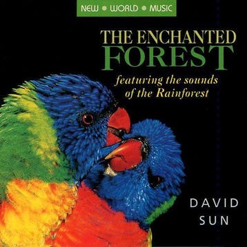 David Sun - The Enchanted Forest, Verzenden, Gebruikt