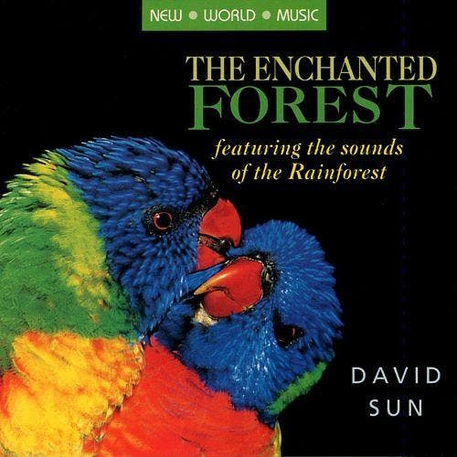 David Sun - The Enchanted Forest, CD & DVD, CD | Pop, Envoi