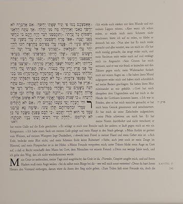 Günther Uecker (1930) - Buch Hiob