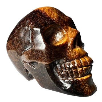 Premium tijgeroog-schedel Gravure - Hoogte: 60 mm - Breedte: