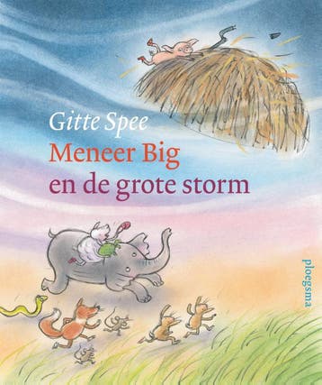 Meneer Big en de grote storm 9789021683553 Gitte Spee, Verzenden, Gitte Spee