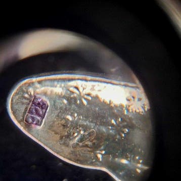 Sans prix de réserve - Broche Argento 925. - Libellula.