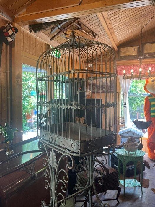Geïnspireerd door de antieke stijl Vogelkooi - Metaal, Antiquités & Art, Curiosités & Brocante