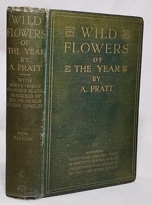 Anne Pratt - Wild Flowers of the Year (With 48 Coloured, Antiquités & Art, Antiquités | Livres & Manuscrits