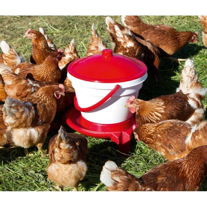 Drinkklok kippen pluimvee - pluimvee drinkemmer 12l met, Dieren en Toebehoren, Pluimvee | Toebehoren, Nieuw