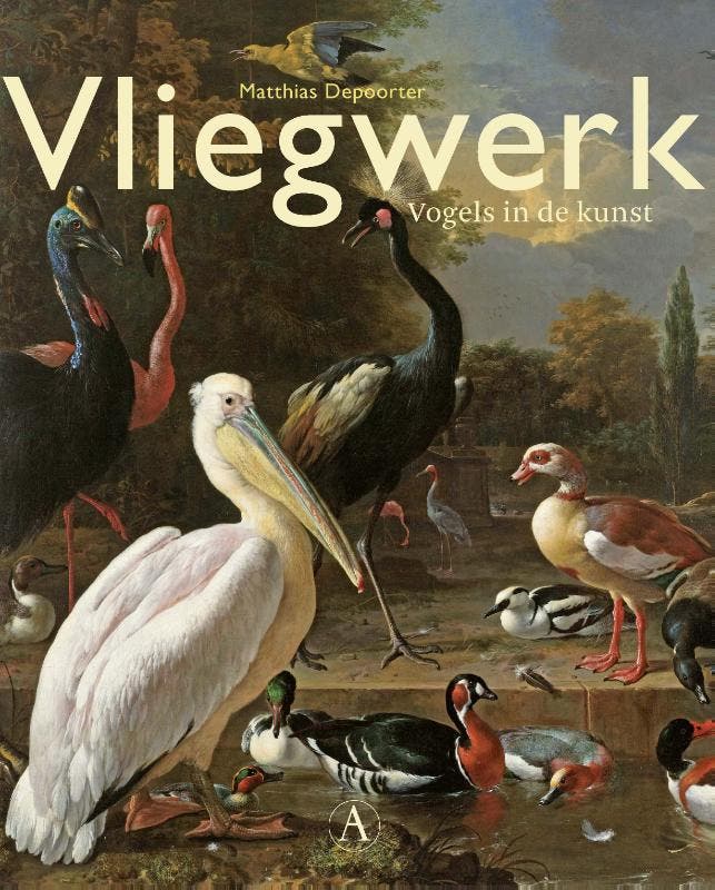 Vliegwerk 9789025300579 Matthias Depoorter, Boeken, Kunst en Cultuur | Beeldend, Zo goed als nieuw, Verzenden