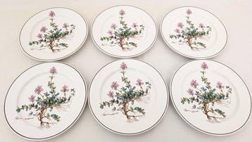 Villeroy & Boch - Ovenschaal (6) - Porselein - Botanica